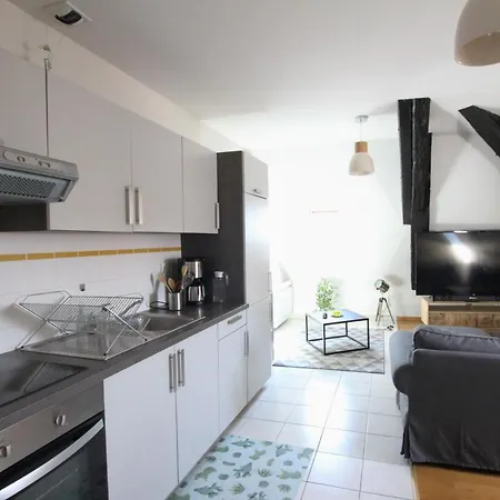 Historic Center - Saint Martin - Bookingalsace Apartment Colmar