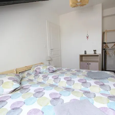 Historic Center - Saint Martin - Bookingalsace Apartment *