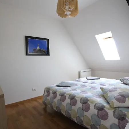 Apartment Historic Center - Saint Martin - Bookingalsace Colmar
