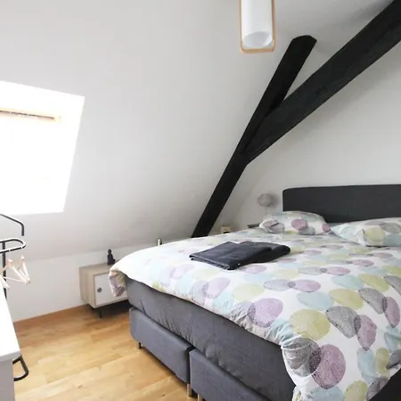 Apartment Historic Center - Saint Martin - Bookingalsace Colmar